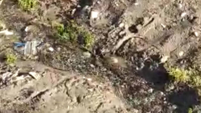 На ул.Орозбекова утечка чистой воды. Видео горожанина