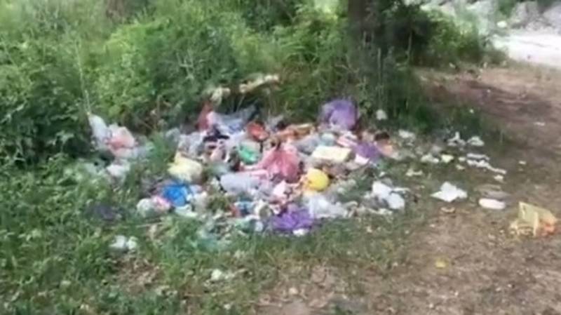Свалка мусора после отдыхающих возле Ала-Арчи. Видео и фото