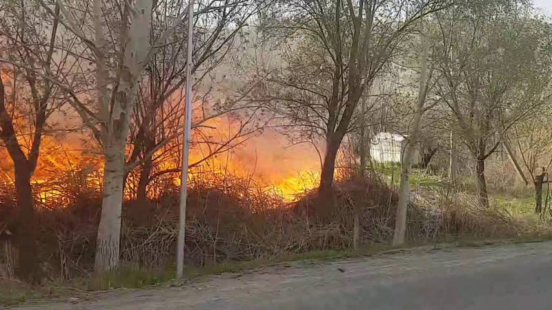 В Араванском районе вдоль дороги горят камыши. Видео