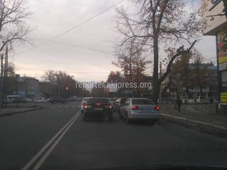 На Жибек Жолу—Тоголок Молдо деревья загораживают дорожные знаки