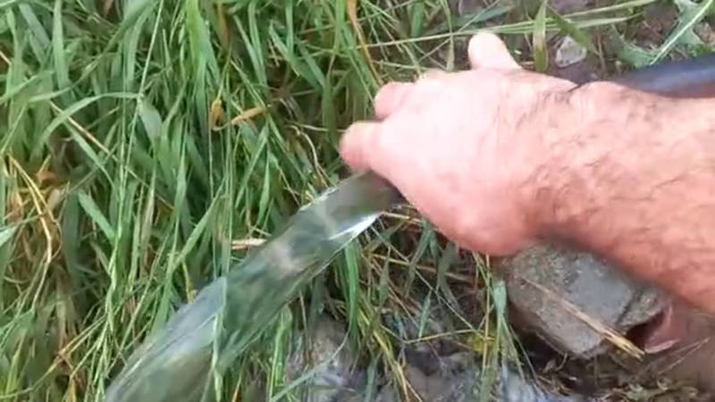 На Тимура Фрунзе из шланга без остановки течет питьевая вода. Видео