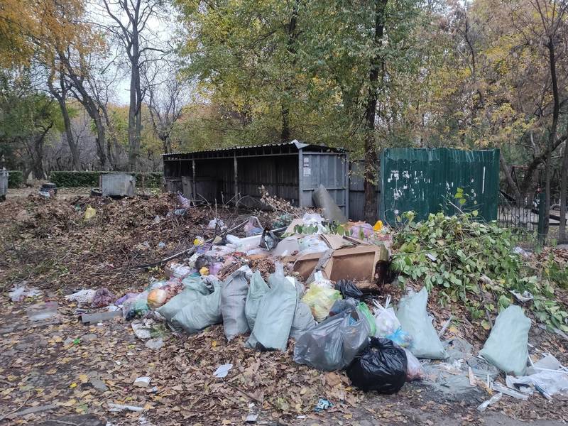 Горожанин жалуется на работу Комтранском в 6 мкр. Фото