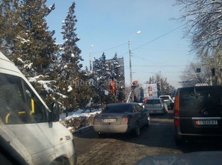 Специалисты «Зеленстроя» пилят деревья на пересечении улиц Жибек жолу-Абдрахманова, - читатель (фото)