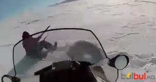 <b>Видео </b> — Раненый <b>волк чуть не напал на человека</b>, выстрелившего в него, - читатель
