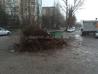 Мусор в 10 мкр не убирается уже две недели, - житель (фото)