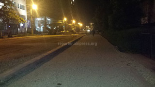 Почему на ремонтируемом участке ул.Исанова спилили все деревья и закопали арык? - читатель (фото)