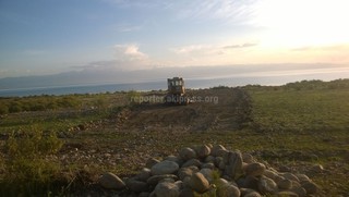 На участке Ак-Чий на берегу озера Иссык-Куль уничтожаются заросли облепихи и другие растения, идет подготовка к строительству, - читатель <i>(фото)</i>