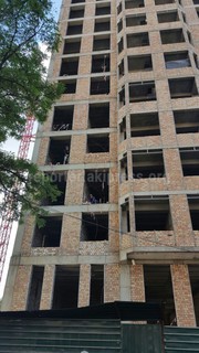 Законно ли вырубаются деревья на Панфилова-Толстого, где строится многоэтажный дом? - читатель (фото)