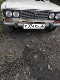 Законно ли идет вырубка веток молодых деревьев в Ботаническом саду? - читатель (фото)