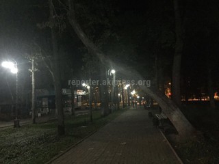 На аллее Эркиндик дерево накренилось и держится за растущее напротив дерево, - читатель <i>(фото)</i>