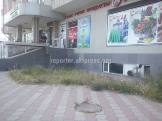 Владельцы магазинов «Юнитекс» и «Шатура» в мкр Джал привлечены к административной ответственности, - СЭИ