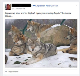 Пользователь Facebook открыто продает мясо архара, горной индейки и волков, имеет ли он лицензию на отстрел? - читатель <i>(фото)</i>