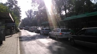 Читатель просит продлить время зеленого света светофора на Токтогула-Манаса и Московской-Манаса (фото)
