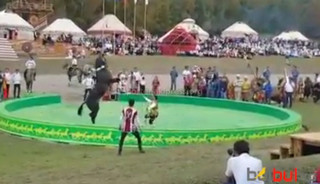 Туркменистан показал на жайлоо Кырчын выступление лошадей ахалтекинской породы <i>(видео)</i>