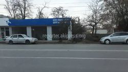 Законно ли вырубили деревья для строительства автомойки на участке улицы Салиевой?