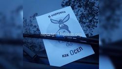 «Я паркуюсь, как осел». Подарок водителю грузовика от местных жителей за неправильную парковку