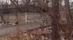 Горожанин вновь жалуется на вонь кожзавода на улице Ауэзова <i>(видео)</i>