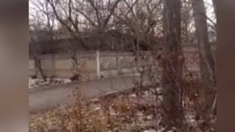 Горожанин вновь жалуется на вонь кожзавода на улице Ауэзова (видео)