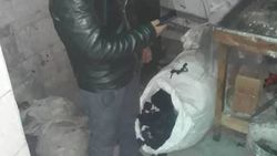 В бишкекском кафе «Жоробек» за сжигание швейных отходов будет наложено взыскание, - мэрия