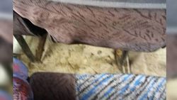 Относительно состояния салона в маршрутке № 103, материалы переданы для поиска, - мэрия
