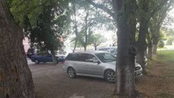 Парковую зону возле ТЦ «Рэд Центра» огородили от парковки, - мэрия