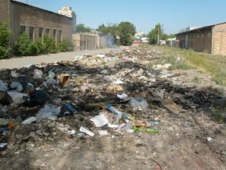 Читатель жалуется на антисанитарию вокруг территории бывшей «маслосырбазы» <b>(фото)</b>
