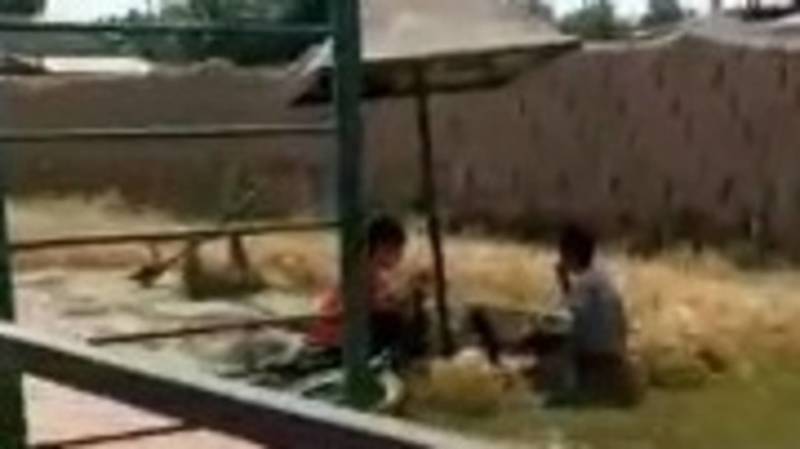 Жительница жилмассива Ак-Бата требует убрать детскую площадку. Видео