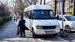 Бус «Мерседес» и «Субару» припаркованы на велодорожке на Манаса. Фото