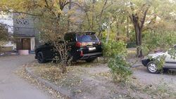 Lexus LX 570, у которого 12 тыс. сомов штрафов, припарковался на газоне. Фото