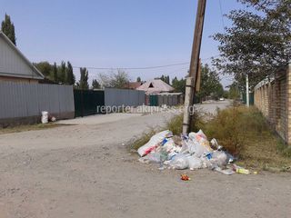 На улице Эшпая в Новопокровке не вывозится мусор