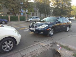 Парковка на пешеходном переходе на Манаса-Токтогула