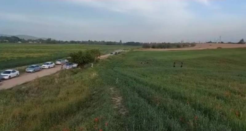 Туристы вытаптывают ячмень ради фотографий с цветущим маком. Видео