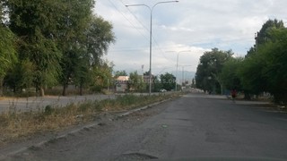 В центре Сокулука аллея рядом с прокуратурой и ЗАГСом в бесхозном состоянии, - житель <b><i>(фото)</i></b>