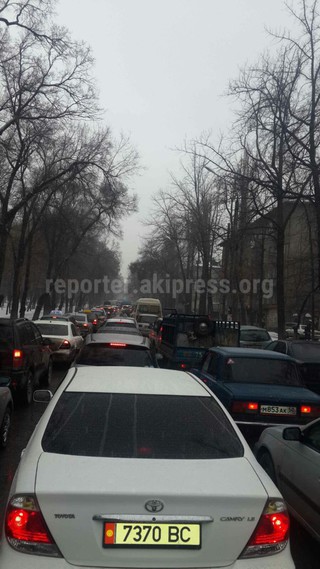 По бульвару Молодая Гвардия образовалась большая пробка, водители выезжают на тротуар, - читатели (фото)