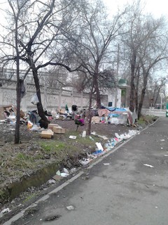 Бомжи создали жилище в 3 мкр возле мусорных баков, - читатель (фото)