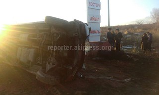 В Бостери бус, сбив на дороге 2 лошадей, перевернулся с пассажирами (фото, видео) В Бостери бус, сбив на дороге 2 лошадей, перевернулся с пассажирами (фото, видео)