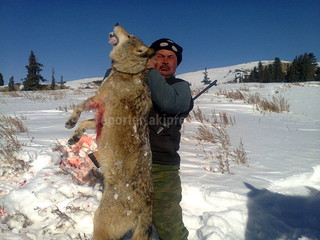 Житель села Оттук Нарынской области Б.Кыдырмышов застрелил крупного волка <i>(фото)</i> Житель села Оттук Нарынской области Б.Кыдырмышов застрелил крупного волка <i>(фото)</i>