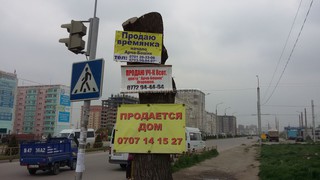 Законно ли вбивать гвоздями рекламные баннеры в деревья? - горожанин <i>(фото)</i>