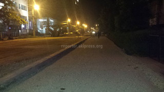 После ремонта на участке ул.Исанова будут посажены зеленые насаждения и восстановлена ирригация, - мэрия Бишкека