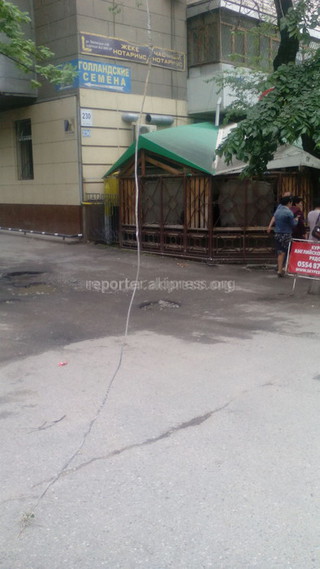 Нависший над тротуаром провод на улице Токтогула числится на балансе «Бишкексвет», - «Северэлектро»