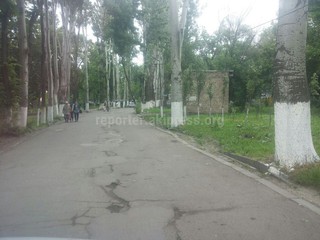 Читателю необходимо обратиться к руководству Нацгоспиталя с просьбой отремонтировать дорогу, - мэрия Бишкека