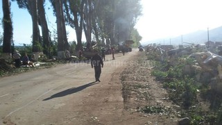 На аллее Раппопорта в Чолпон-Ате продолжается вырубка деревьев, будут ли посажены новые деревья взамен вырубленных? - читатель <i>(фото) </i>