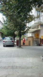 На Фрунзе-Тыныстанова женщина исследовала дерево или люк спецтехникой (фото)