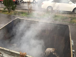 В 3 мкр возле Орто-Сайского рынка не убирают вовремя мусор, а кто-то ходит и поджигает новые баки, - читатель (фото, видео)