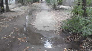 На улице Чокморова вода из арыков течет по проезжей части, - читатель <i>(фото)</i>