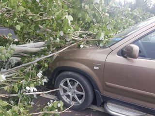 ул.Шопокова