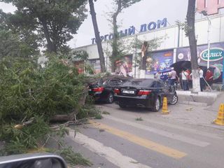 ул.Льва Толстого