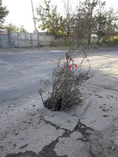 Люк без крышки на Садырбаева-Лазурный уже три года является причиной многих аварий, - бишкекчанин (фото)