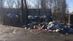 Фото — В селе Новопокровка не вывозят мусор