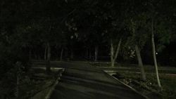 В сквере «Театральный» освещение появится скоро, - мэрия